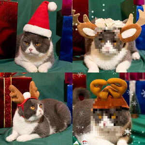 ybgpXqL ^ NX}X a o[Xf[ RXv ETM   giJC 킢 jbg g 蕨 ANZT[