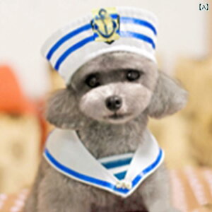   Xqt ^ ^ L p ybg }g p Z[[ |GXe 킢  AJ