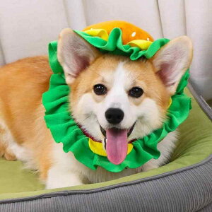 ybgXq 킢 no[K[  Lp Ԃ RXv ʐ^Bep Cxg p[eB[ ^ ^ ^