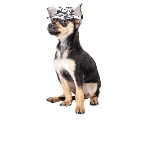 pXq ybgp 싅X efB R[M[  Xq ^ ^ tH qE Ԕ    Jt IW F ԕ 