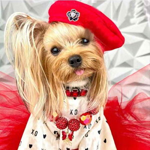 Xqp ybgp x[X tH At@xbg ? tFg 킢  bh ubN uE XS S M L XL(x3)