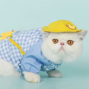 Xq ybgp L Xq F ^ ^ L RX`[ |GXe w 킢 (x2)