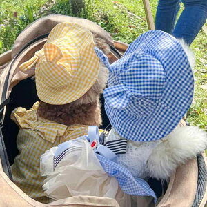 ybgpXqLp iq ՗zXq 悯Xq 킢  ^ ^ ^ CG[ bh ubN sN u[