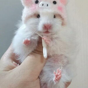 ybgpXqL ^nX^[ S[fnX^[ K nlY~ CR 킢 jbgXq RXv ʐ^Bep  jW ETM N} p_ JG ~co`