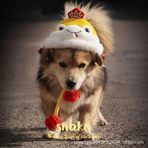 ybgpXq L  t[X xxbg ۉ 킢 j ֔N  RXv ʐ^Be CG[ bh(x5)