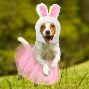 L ybgp RX`[ Xq [XJ[g ەt ETM  e nEB C[X^[ NX}X p[eB[ Cxg ^ L