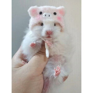 ybgpXq nX^[ S[fnX^[ K t@V[bg CR Lp 킢  ю Xq RXv ʐ^Bep  Jbc  ߃LmR ETM NX}