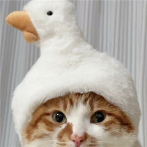 ybg Xq ^ 킢 唒@ F p_ L ʂ Ă RXv Bep