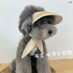 Xq ybg ^ efB rV 悯Xq K[f ʐ^Be ANZT[ x[W ubN H