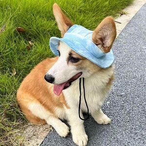 pXq ^ ^ ^ vX ybg L 悯 Xq 킢 H