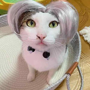 L p EBbO 킢 O  O[ GNXe RXv Xq Lbv