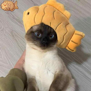 XqL  킢 Ă  ybg RXv  蕨 nEB