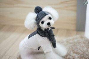  L ybg Xq lbNEH[}[ Zbg jbgX }t[ ^ ^ O[ bh lCr[ ~ h U 킢(x2)