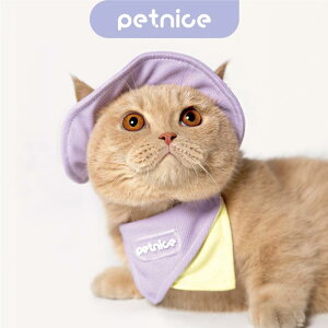 ybgpX^C L  o_i 킢 ݊ Lp 悾ꂩ Xq ANZT[ pXeJ[ tH