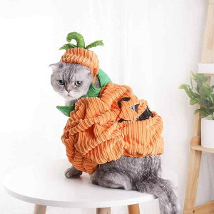 ybgpRX`[ nEB L   Xq Z IW R[fC ^ ^ tH  킢(x5)