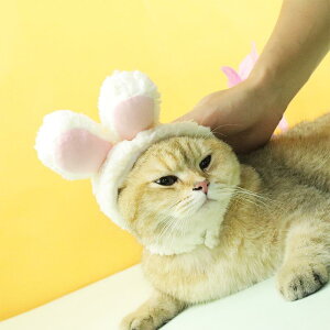 ybg XqL   킢 g h 蕨 ^ ^  F  sN    ԕ JG VbN p[(x2)