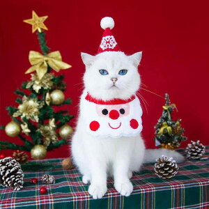 ybgpXq NX}X X^C Zbg  L p ~ g jbg S L   (x3)