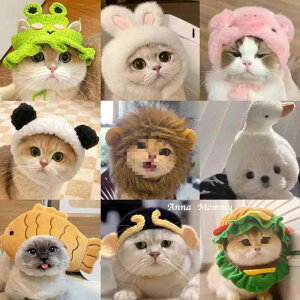 Xq ybgp L  킢 RXv CI ETM u^ jg Ă no[K[  N} p_ JG   jbgX H