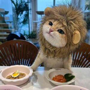 L p Xq 킢 CI Ă ETM ^ ybg RXv 蕨 \ 16҂܂ H~