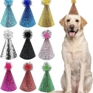 ybgpXqp a p[eB[ Ob^[ XpR[ ^ ^ n  킢  wbhhX(x100)