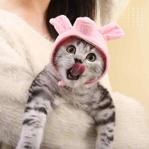 Xq ybgp L  RXv Ԃ 킢 J[gD[ Aj} nEB NX}X  a p[eB[ Cxg