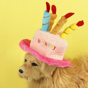 Xq ybgp L  RXv Ԃ lRt u[ sN 킢 ʂݑf ^ ^ p[eB[ a NX}X Cxg