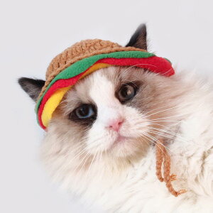 ybgpXqL  no[K[ Xq Lbv jbgX r[j[ 킢  RXv uEn(x4)