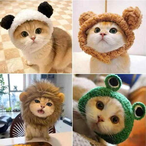 ybgpXqL ^p  p_ N} 킢 RXv ϐg Xq ~(x2)