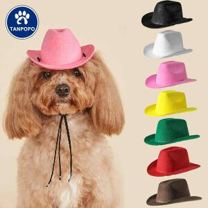 XqL  ybgpXq fjXq pϕ n sN bh uE ubN CG[ O[ 킢 JWA X^C