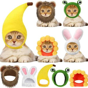 LpXq ^pXq 킢 RX`[ p[eB[p G ANZT[ oii Ђ܂ CI JG ETM |GXe tH(x2)