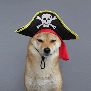 ybgpXq nEB C Xq XJ hbO Lbg RXv |GXe ^ L 30҈ȓ Cxg p[eB[