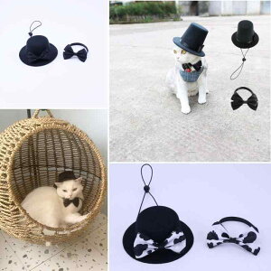 ybgpXq lN^C L  D胊{  am tH[} p[eB[ a  nEB NX}X  LO ʐ^Be(x2)