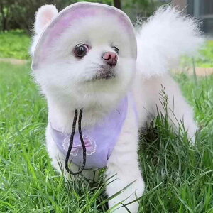 ybgpXq 킢 o oPbgnbg 悯 Eɂ ߉\ pXq ^ ^ |GXe F CG[ u[ ubN sN O[