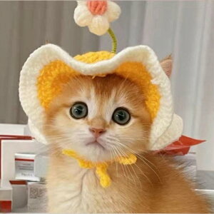 L p Xq 킢 ԕ ybgp Ԃ ҂ݕ CG[ sNn O[ u[ p[v S M ^(x2)