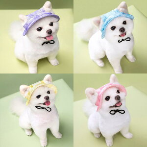 Xq ybg p ėp 悯 O΍ tX 킢 |GXe Of[V F   F sNn S M L