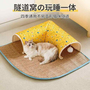 Lpxbh LpnEX Lpgl I[V[Y ėp  ybgnEX O\ 􂦂 h ؐ 卆