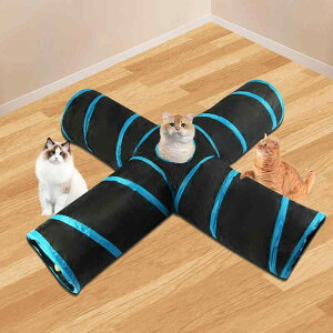 L gl L nEX ybg  4 vC xe ^s B  eg |GXe ubN O[ C{[(x10)