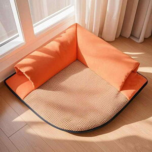 L ? t ybgp d   킢 Q 58cm IWn u[n