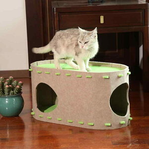 LnEX Lgl ybgpxbh 2w  ܂肽ݎ gݗĎ |GXe ʔN\