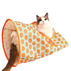 L  ߋ h L炵 Lgl  lY~ ^L ybgpi IW nlY~ L L̂