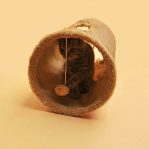 L gl XG[h ybg  ܂肽 2way ߋ Lp x[W O[ lCr[ sN(x2)