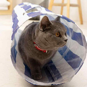 L gl L nEX  Vя ETM  B u[n