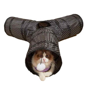 L gl Y^ 3 Lp ܂肽݉\ ߋ ybgpi  hbg