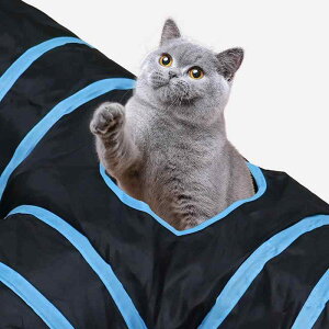 ybgp Lp gl Lpgl V Q ̌^ |GXe