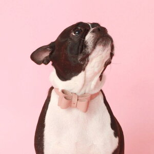   ybgp  p `[J[ 킢 U[  ^ ^ ߉\ sNn(x200)