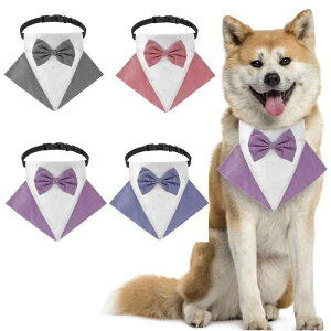 p CMX  XgCv ybg  Op X^C u[ bh p[v ubN |GXe nEB NX}X o^C