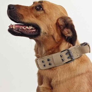  pi ybgp   p  XgCv 5iK   K9 ^ ^ iC ubN 