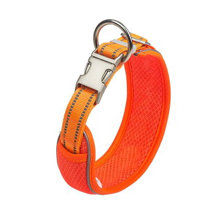  p bV ʋC L 9 Ԕ XgCv Sy ^ ^ ^ IW ΃u[ ubN uO[ Cu[ }[^ iC  JWA ʔN