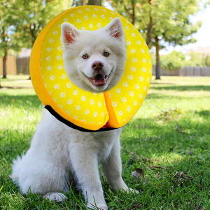  Lp ybg pi C GUxXJ[ \tg rߖh~ ݖh~ p Lp ^ ^ CG[ u[ O[ S M L XL(x50)