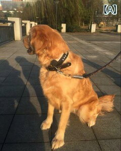 pi  [h Zbg ubN bh U[ p [v M L XL ^ ^